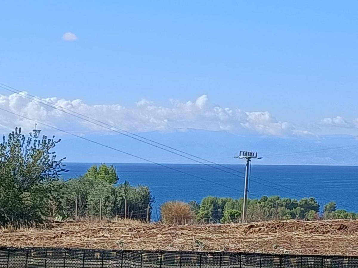 אמנדולארה La Taverna Di Angela מראה חיצוני תמונה